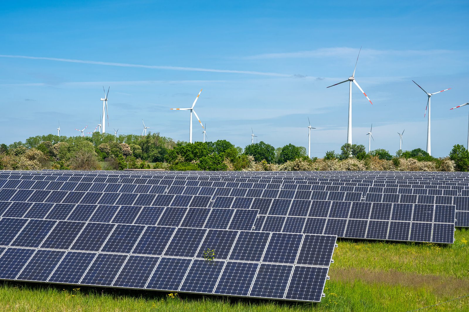 Top 5 Challenges in Renewable Energy Integration